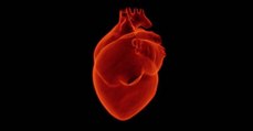L'intelligence artificielle prédit mieux que les médecins les risques de décès liés à une maladie cardiovasculaire