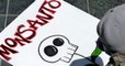 Roundup : un tribunal condamne Monsanto à payer 290 millions de dollars de dommages à un jardinier américain