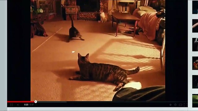 Müzede Bir Gece 3: Lahitteki Sır - Orijinal Fragman 3