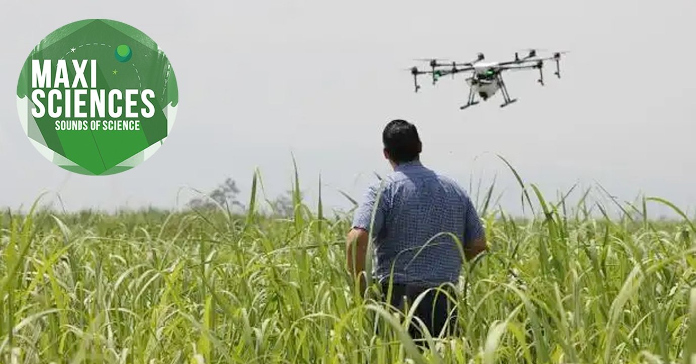 Algues, drones et taxi volant, les 8 actus sciences que vous devez connaître ce 27 août