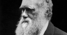 Une théorie de l'évolution née 50 ans avant Darwin ?