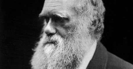 Une théorie de l'évolution née 50 ans avant Darwin ?