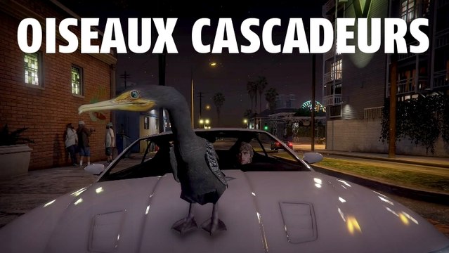 GTA 5 : quand les oiseaux réalisent des cascades épiques (mais pas trop quand même)