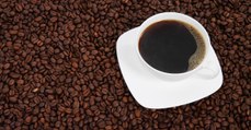 La culture du café de toute l'Amérique latine serait menacée par un champignon