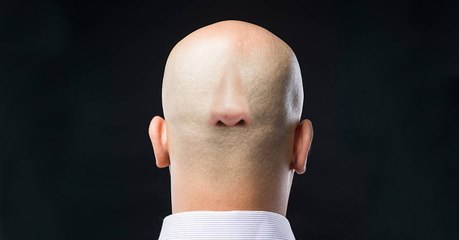 Des scientifiques pourraient avoir trouvé un remède insolite contre la calvitie : utiliser "l'odorat" des follicules pileux