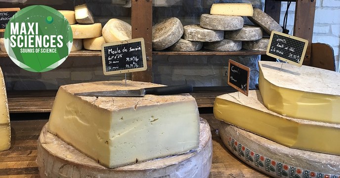 Elon Musk, fromage et dinosaure, les 8 actus sciences que vous devez connaître ce 6 novembre