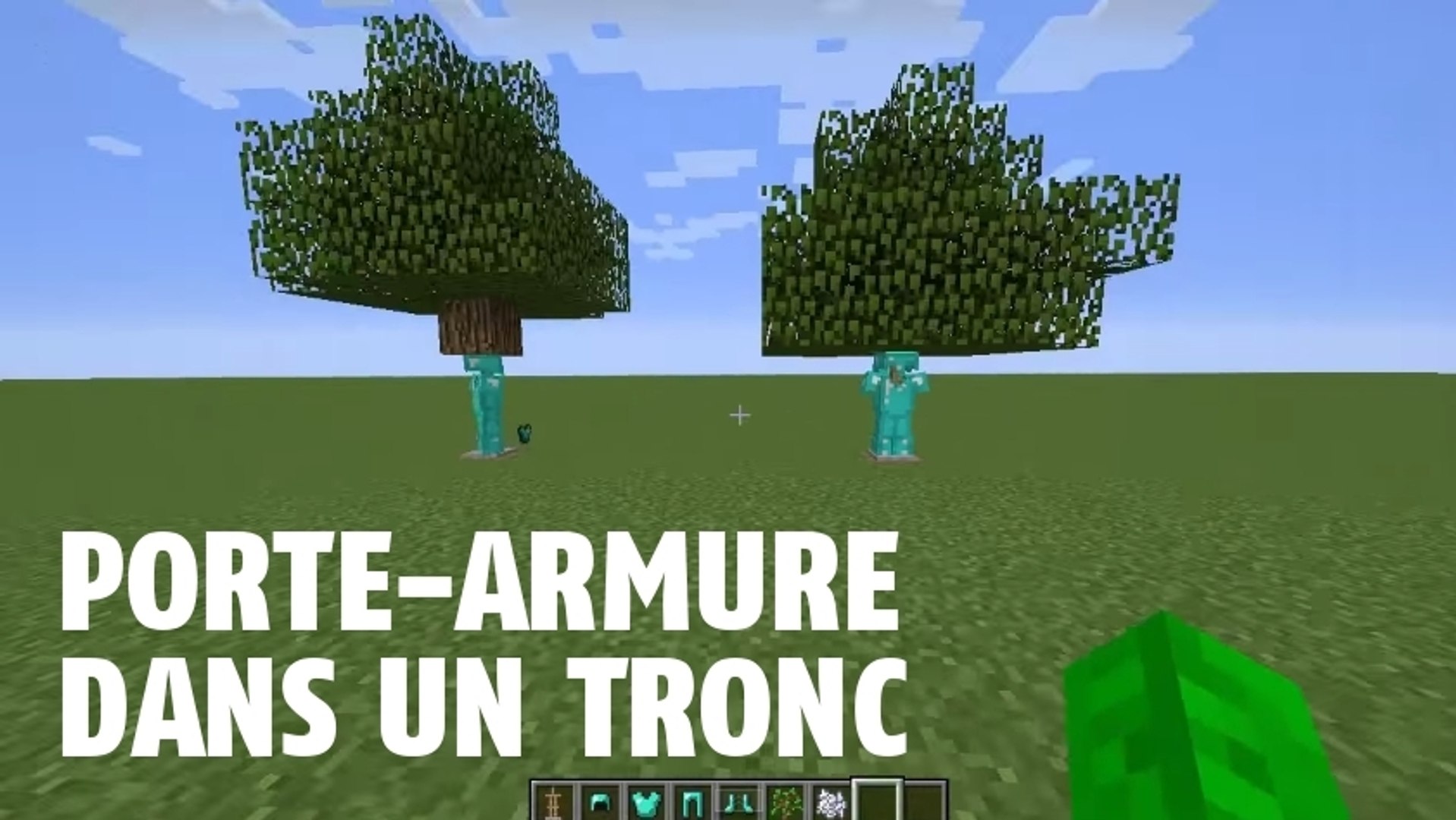 Minecraft : il est possible de cacher son armure dans un arbre - Vidéo  Dailymotion