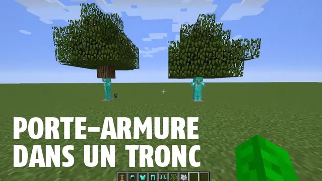 Minecraft : il est possible de cacher son armure dans un arbre