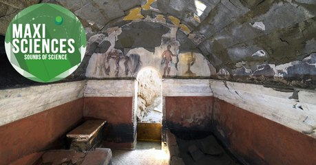 Vipère, tombe romaine et tourista, les 8 actus sciences que vous devez connaître ce 27 septembre