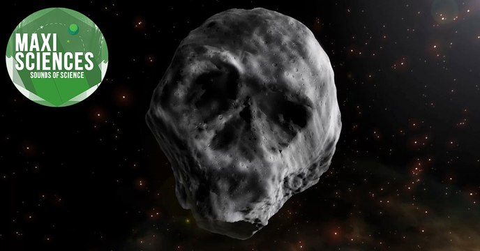 Orques, astéroïde et larmes d'oiseau, les 8 actus sciences que vous devez connaître ce 29 septembre