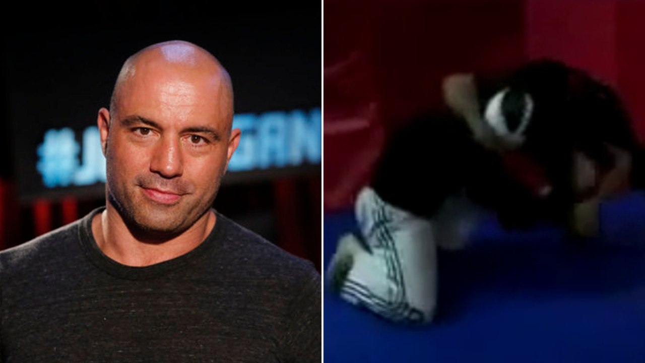 Der UFC-Moderator Joe Rogan kämpft gegen einen Hater