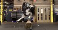 Atlas : la nouvelle démonstration impressionnante du robot humanoïde de Boston Dynamics