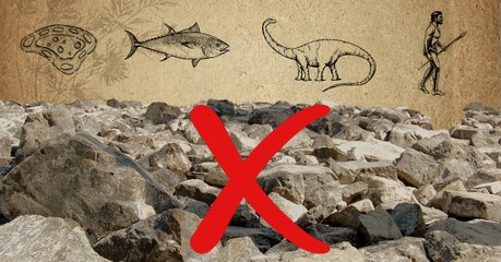 Le plus vieux fossile du monde pourrait en réalité n'être... qu'un rocher