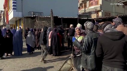 La FAO prova a salvare gli afghani, distribuendo semi agli agricoltori