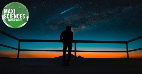 Géminides, gamers et pansement connecté, les 8 actus sciences que vous devez connaître ce 11 décembre