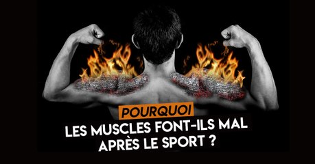 Pourquoi les muscles font-ils mal après le sport ?