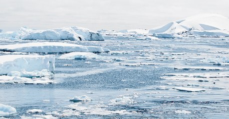 Antarctique : la création d'une immense réserve marine bloquée par trois pays