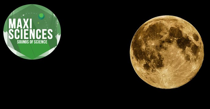 Face cachée de la Lune, chauve-souris et trafic de tortues, les 8 actus sciences que vous devez connaître ce 8 décembre