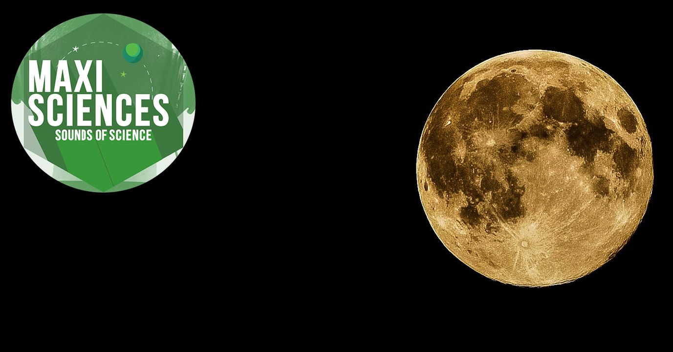 Face cachée de la Lune, chauve-souris et trafic de tortues, les 8 actus sciences que vous devez connaître ce 8 décembre