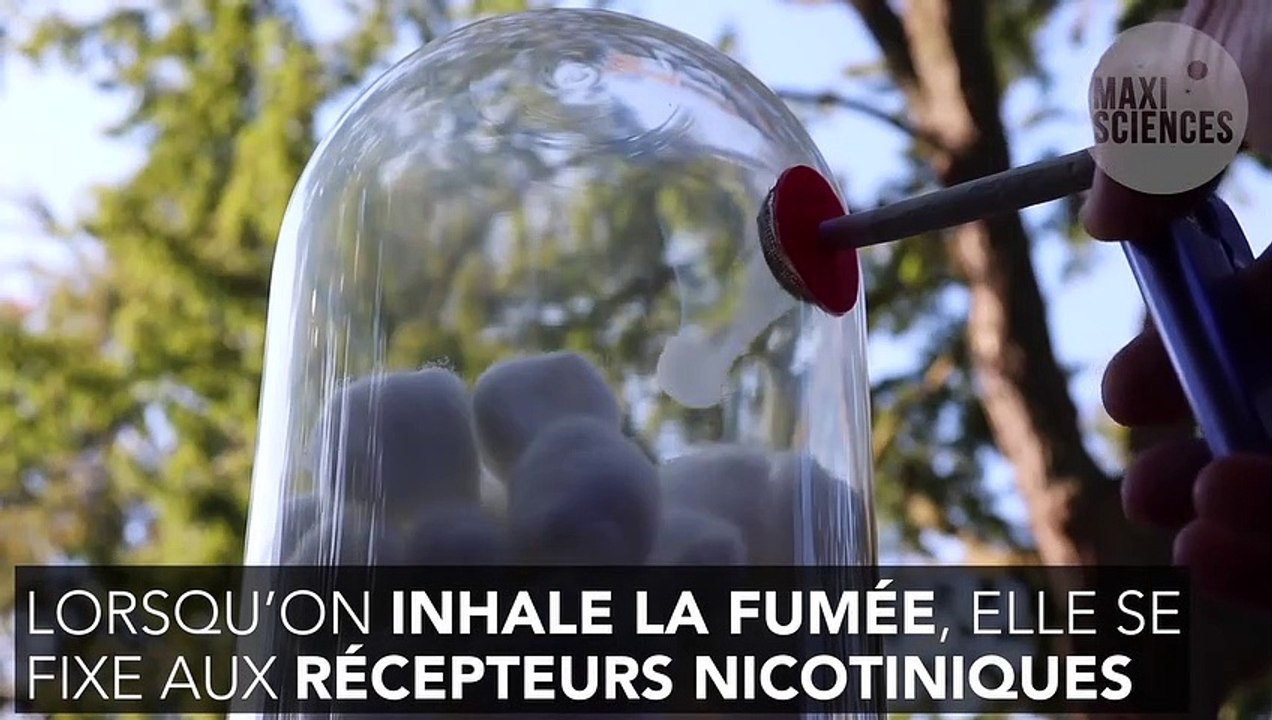 Mois sans tabac : pourquoi est-ce difficile d’arrêter ?