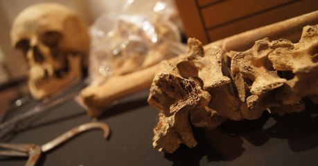 Des archéologues pensent avoir découvert le premier meurtre politique de l'Histoire