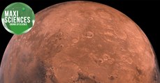 Gaspillage alimentaire, Mars et guerre de Troie, les 8 actus sciences que vous devez connaître ce 15 novembre