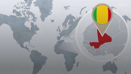 Mali : l'Ambassadeur de France renvoyé, les députés français réagissent