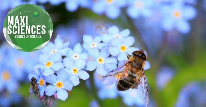 Ecrans, vaccins et eau cosmique, les 8 actus sciences que vous devez connaître ce 12 décembre