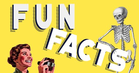 Fun facts : 5 choses insolites que vous ne savez probablement pas sur votre corps