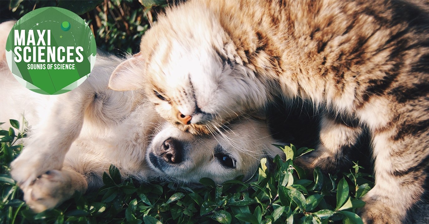 Antarctique, Lune et déprime d'hiver, les 8 actus sciences que vous devez connaître ce 28 décembre