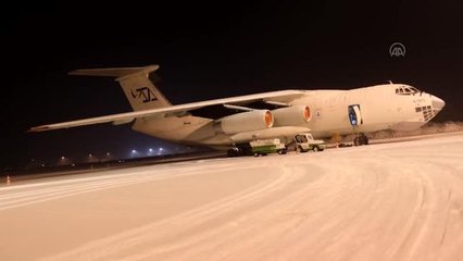 Afganistan'dan Kanada'ya götürülen terk edilmiş hayvanlara hayvanseverlerden destek