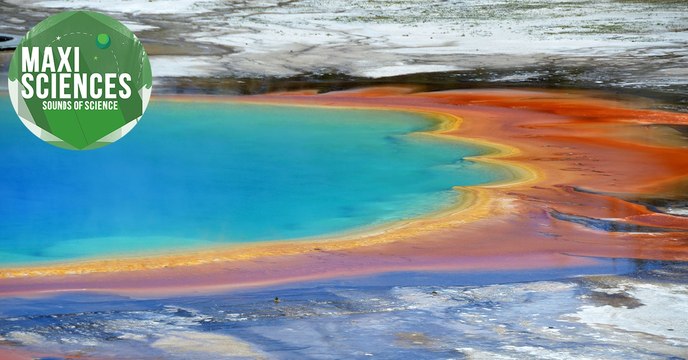 Yellowstone, Lune et anxiété, les 8 actus sciences que vous devez connaître ce 17 décembre