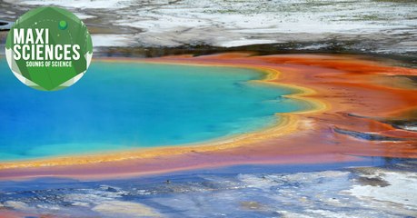 Yellowstone, Lune et anxiété, les 8 actus sciences que vous devez connaître ce 17 décembre