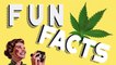 Fun facts : 5 choses insolites à connaître sur le cannabis