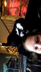 Baby Goat Wees Down Woman's Back