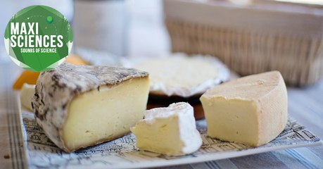 Japon, Etna et fromage, les 8 actus sciences que vous devez connaître ce 27 décembre