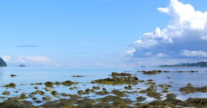 Depuis 2007, des pieds humains coupés apparaissent sur cette plage canadienne et personne ne sait pourquoi