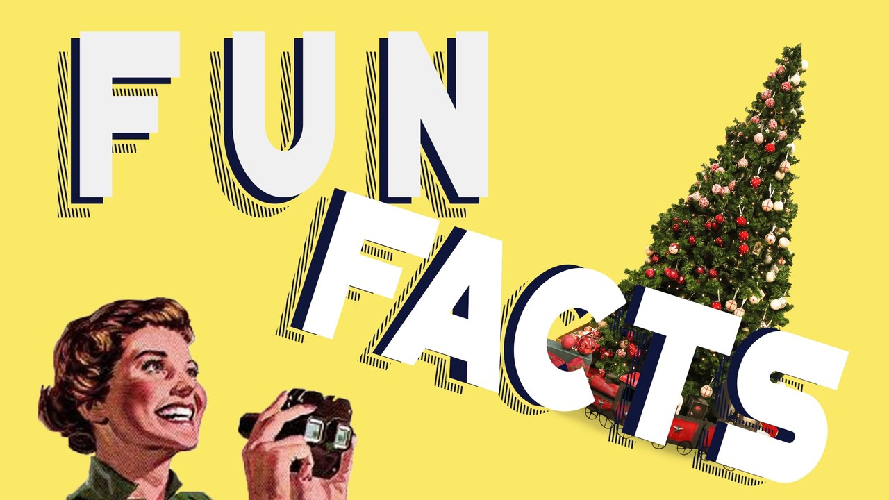 Fun facts : 5 choses que vous ignorez peut-être sur le sapin de Noël