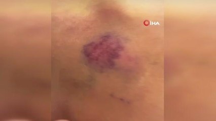 Model Ece Su Uçkan'ın içinde olduğu taksi denize düştü- Aracın kapılarını açıp yüzerek kurtuldular