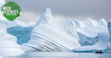 Antarctique, abeille et Immaculée Conception, les 8 actus sciences que vous devez connaître ce 24 février