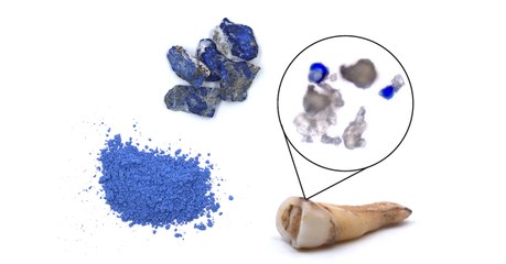 Les restes d'une religieuse du Moyen Âge incrustés de pigments révèlent une vérité surprenante