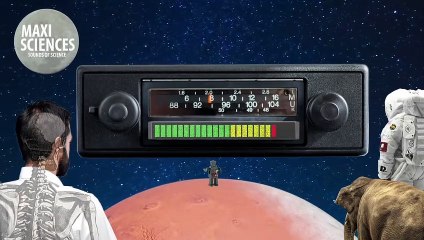 Lune, régime et chien... les 8 actus sciences que vous devez connaître ce 24 janvier