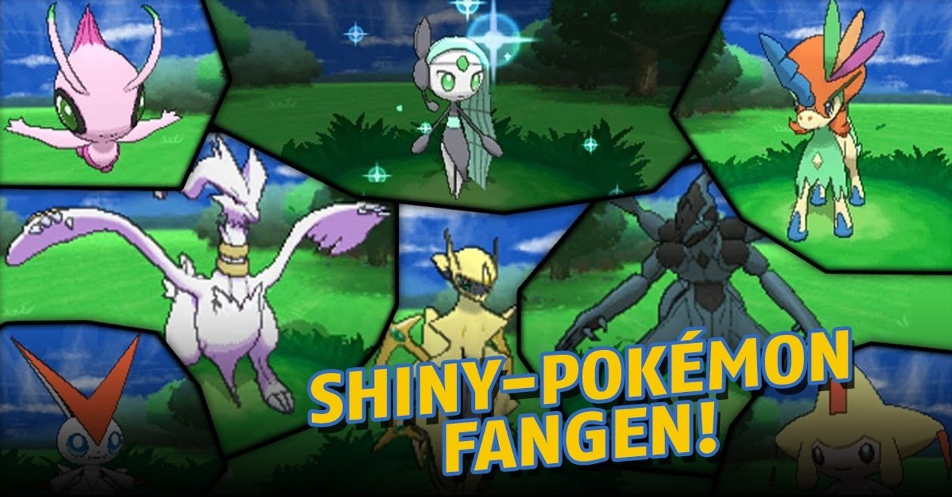 Mit dieser genialen Technik und etwas Geduld fangt ihr es noch am Wochenende!