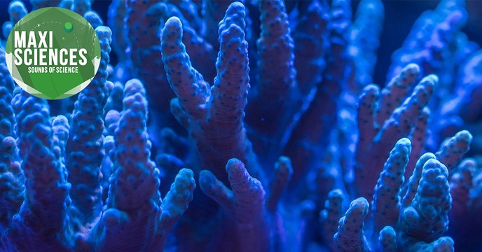 Lune, robot et médicament, les 8 actus sciences que vous devez connaître ce 19 janvier