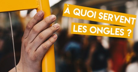À quoi servent les ongles ?