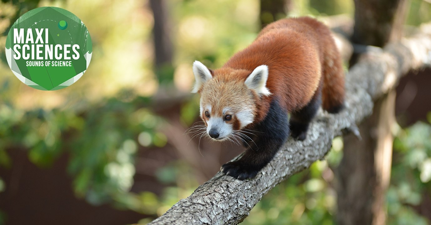 Séisme de glace, trou noir et drone, les 8 actus sciences que vous devez connaître ce 2 février
