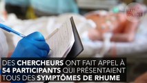 Rhume : voici le remède naturel et validé par la science qui réduit la durée des symptômes