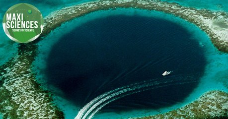 Glyphosate, Ocean Art et chutes du Niagara, les 8 actus sciences que vous devez connaître ce 26 janvier