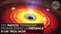 Espace : Notre galaxie pourrait abriter un mystérieux trou noir errant