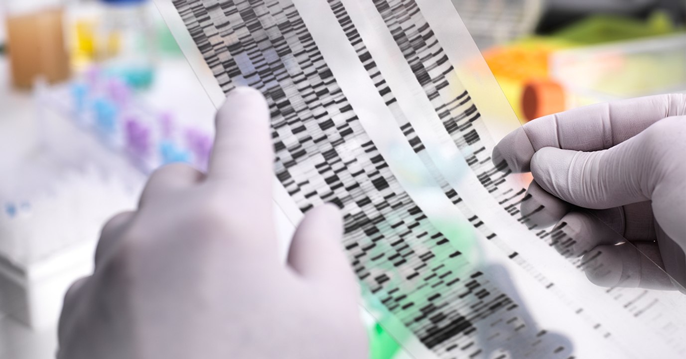 En étudiant une momie, des chercheurs espèrent en apprendre plus sur la propagation d'une grave maladie